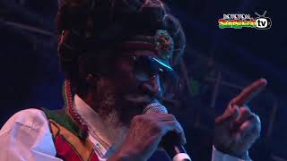BUNNY WAILER sings BLACKHEART MAN &amp; AMAGIDEON live @ Main Stage 2015