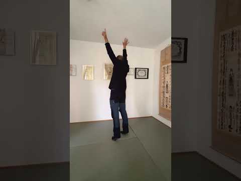 Taï Chi Chuan : présentation des Douze Mouvements de Cuivre