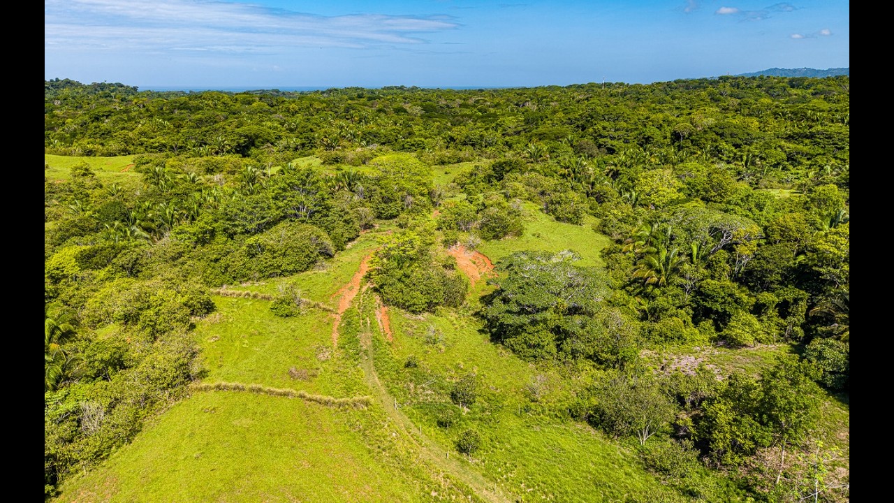 360 Acre Coastal Ranch Opportunity in Playa Esterillos