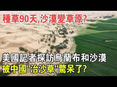 , title : '美國記者探訪中國烏蘭布和沙漠，被中國“治沙草”驚呆了！72000畝沙漠，90天變草原！怎麼做到的？'