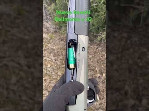 Nueva Benelli Bellmonte #caza #shorts