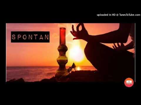 ZPS - SPONTAN