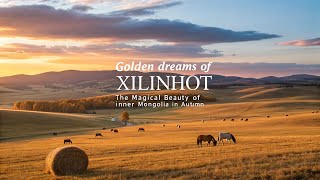 Golden Fields, Endless Freedom🌾 #CinematicTravel#TravelVibes#PeacefulNature#HiddenParadise