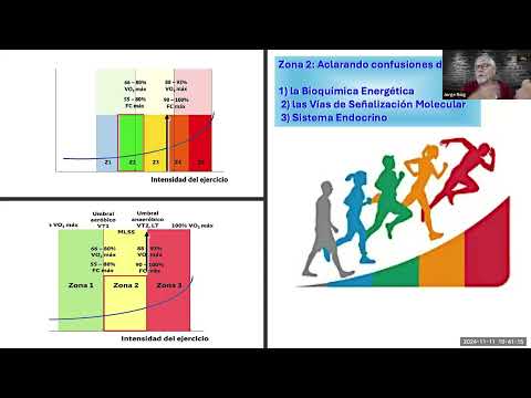 ZONA 2 DE ENTRENAMIENTO