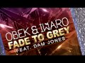 OBEK & Iwaro - Fade To Grey (feat. Dam Jones ...