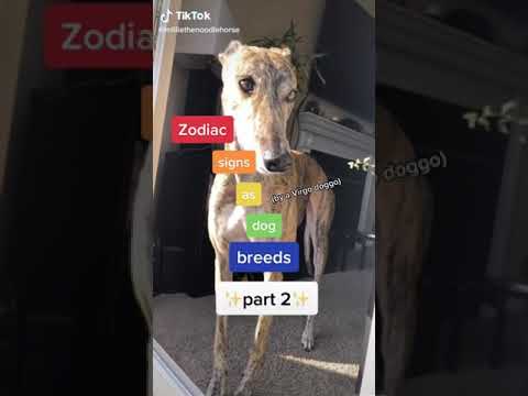 The zodiac sign as Dog Breeds pt2