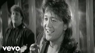 Mark Collie - Born To Love You