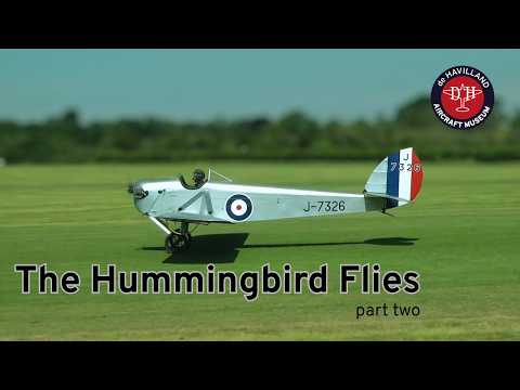 Hummingbird - Edu