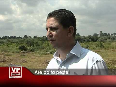 Are balta peşte!