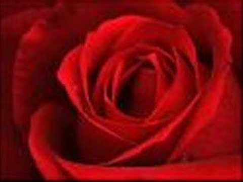 Gülşen Civelek- Ben Seni Sevdiğimi