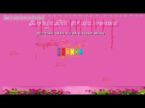 African Melodies (Pexi-Tonic SA. Dj 9.8 SA & Ceekay Musiq)