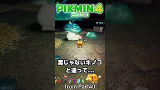 毒には白ピクミンを　:40 【ピクミン4】#ゲーム実況 #pikmin4