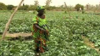 Vidéo de la Journée mondiale de l'alimentation 2010
