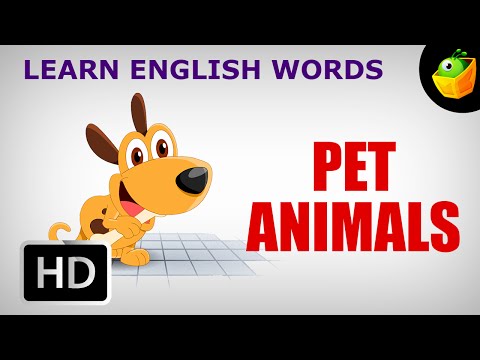 Pet Animals | Pre School | Learn English Words (Spelling) Video For Kids and Toddlers
