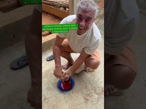 JOARES DEVENDO O SEU ALMOÇO NA CASA DA DINA MARIA EM TAGUARAL ITINGA MINAS GERAIS 25/07/26