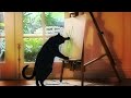 CAT FIXING ART GRAIN ART Shorts