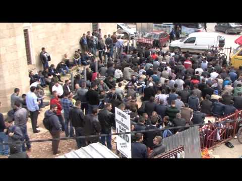 Bereqeti - Dr. Shefqet Krasniqi