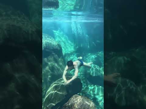 Em Lavrinhas a 4 horas de São Paulo capital.