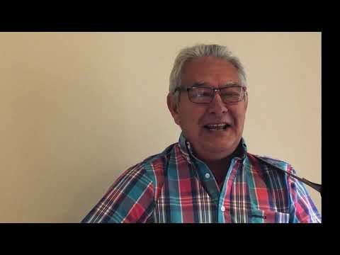 The Seagull's Name Was Nelson