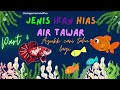 4 Jenis Ikan Hias Air Tawar