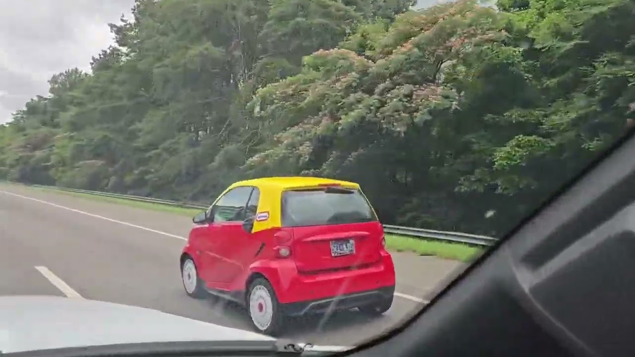 Little Girl Spots Car That Looks Like a Toy || ViralHog