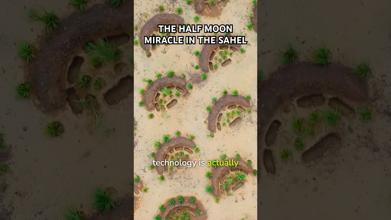 The Half Moon Miracle in the Sahel