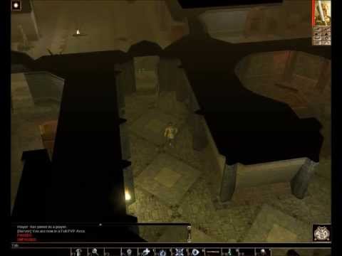 LP NWN Paladin 008_01 Gaurd Jurnals & Clearing minions