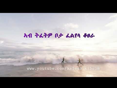 ክፍሉ ዳኛው ስግንጢር ግጥሚ kiflu dangaw sgntir  Eritrean music Shalom lyrics