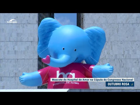 Boneco inflável no Congresso chama a atenção para o câncer de mama