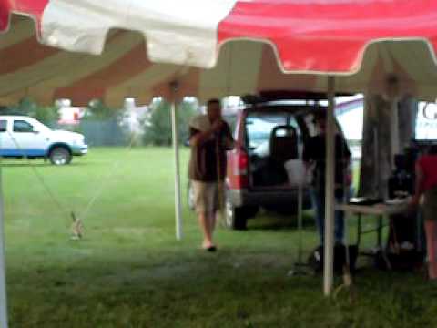 Muddober Born to Boogie