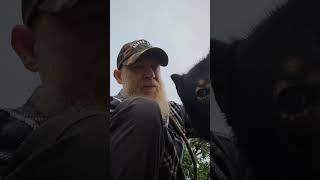 Odin, are You Watching Me?