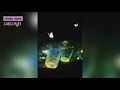Phool Kali Chand Sitare New WhatsApp Status