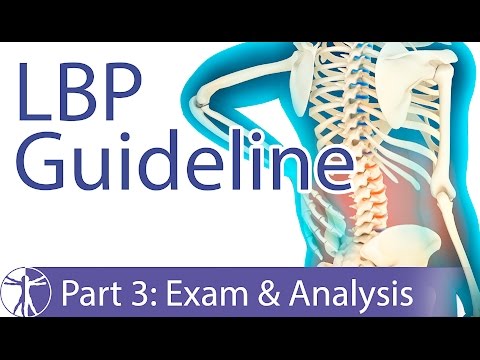 Low Back Pain Guideline: Examination & Analysis (Part 3)