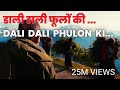 Dali Dali Phoolon Ki उत्तराखंड Tourism Song Viral Uttarakhand Tourism Song