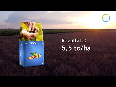 Recoltare lot de rapiță - DK Exbury