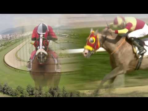 Yalova Koşusu 28/04/2017