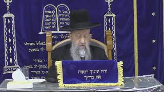הלכות ברכות ימלא פי תהילתך בית הכנסת סודאי סיון תשפד