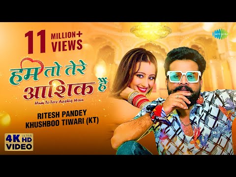 Hum Toh Tere Aashiq Hain — watch video