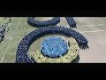 LOGO HUMAIN 50 Ans SOPHIA ANTIPOLIS