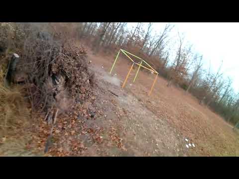 417DE Christmas Fun Fly at Peters