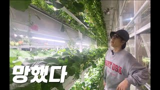 쉽지 않은 딸기농사 !  그래도 괜찮아! 좌절하지마! 우리는 할 수 있어!