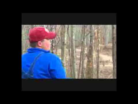 World luckiest disc golf shots!