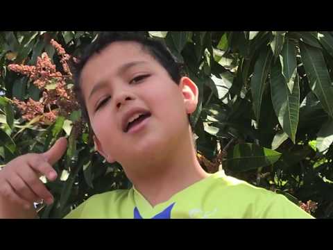 Sem Sentido video