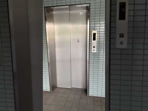 YouTube動画を見る