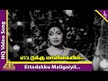 Paadha Kaanikkai Tamil Movie Songs Ettadakku Maligaiyil Video Song Gemini Ganesan Savitri