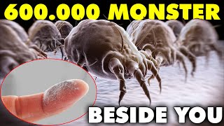 True Facts: Explore The Hidden Kingdom Of Mysterious Itchy Mites | Mr. DingDing