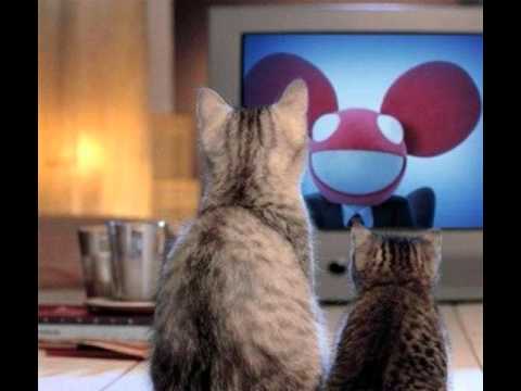 Dada Life vs. Deadmau5 - Unleash The Fucking Sofi (Tsunami Bootleg)