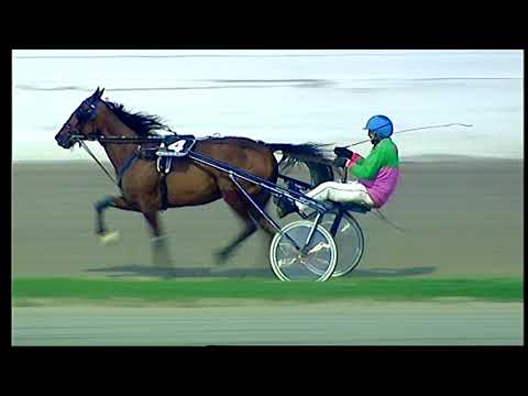 Trotto 27/11/2020 - 7ª corsa IIª TRIS