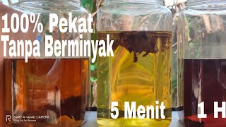Download lagu Cara Mengolah Daun Ketapang Agar Tidak Berminyak mp3