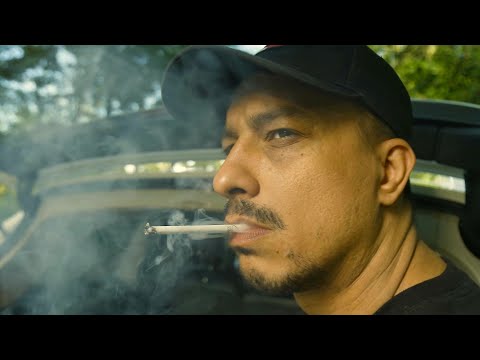 DANI PRINTUL BANATULUI - MIROS DE FRAIER